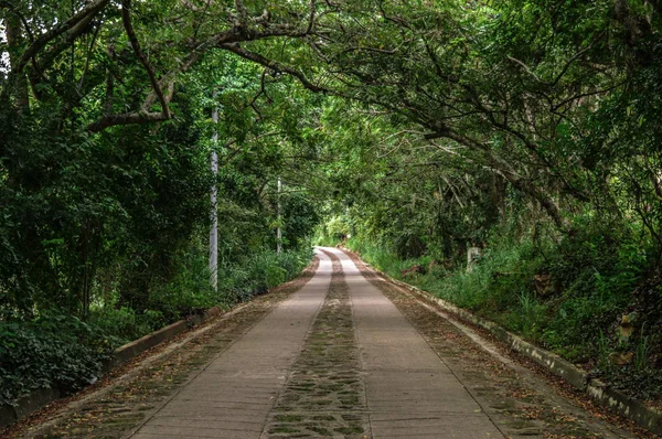 Herramientas de barra para hacer kokteyli.