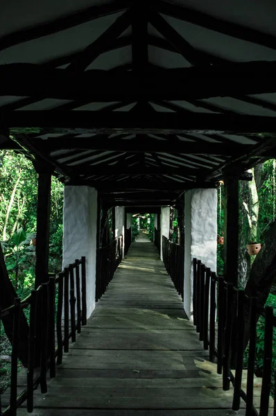 Puente Madera Bosque — Fotografia de Stock