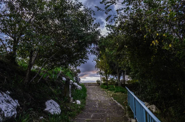 Camino en la montaa rodeado de arboles