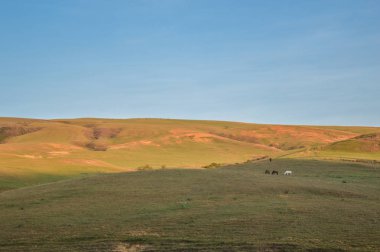 Paisaje de una finca en el atardecer