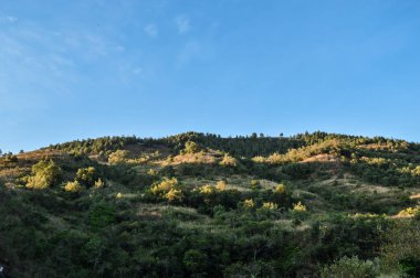 Paisaje de montaas con arboles