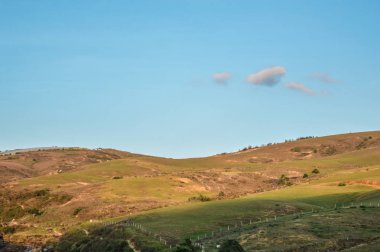 Paisaje de una finca en el atardecer