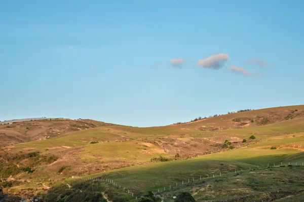 Paisaje de una finca en el atardecer