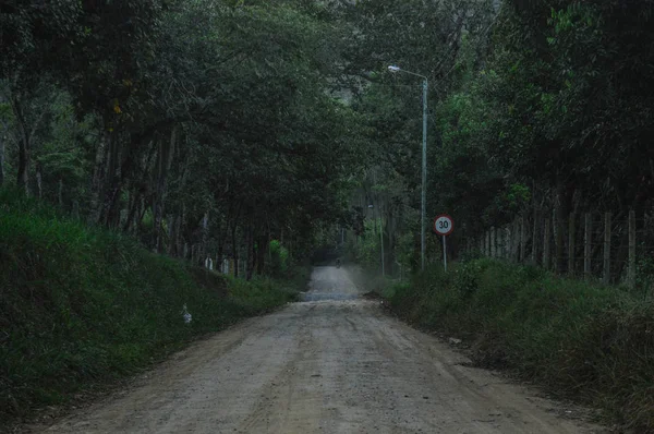 Camino Tierra Bosque — Foto de Stock