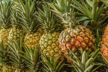 piyasada birçok taze ananas