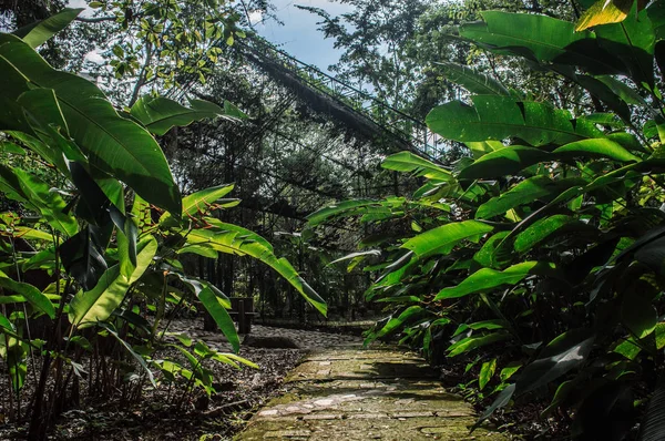 Ormanın içinde bir çocuk odası