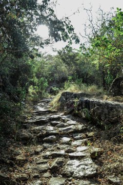 Dağlarda yol