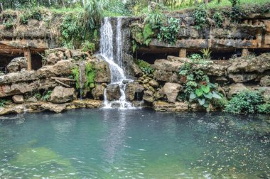 Ormanda küçük bir şelale