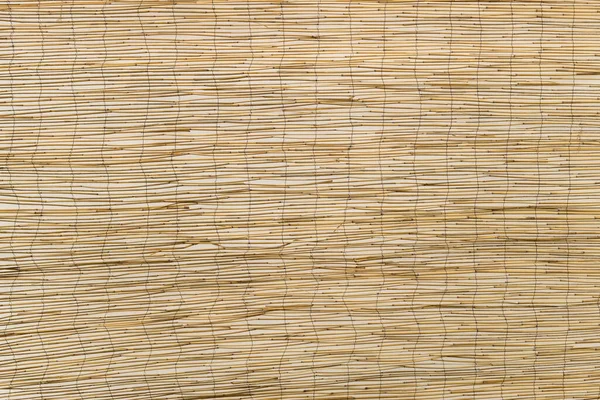 Achtergrond Van Bamboe Stokken Textuur — Stockfoto