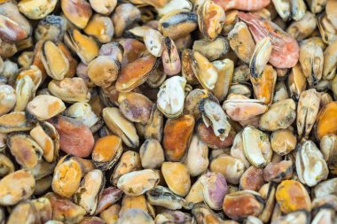 Buz ve arka planda donmuş taze istiridyeler, doku etkisi. Seçici odak.