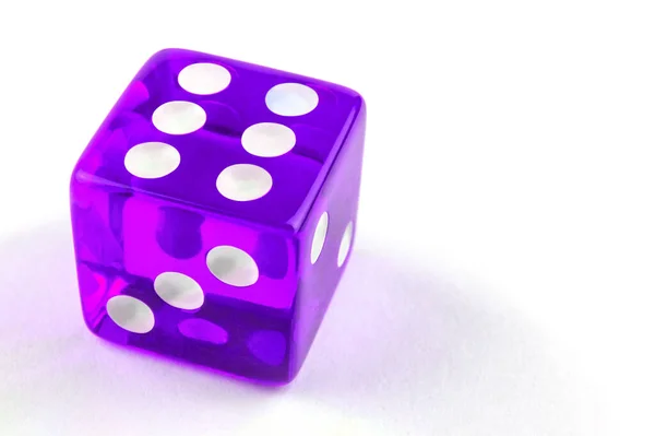 一个紫色骰子 白色背景 有复制空间 — 图库照片