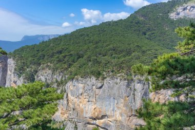 Kırım 'daki kaya vadisinin manzarası.