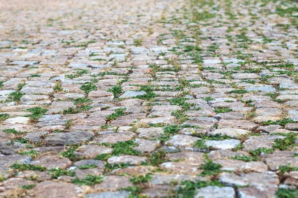 Camino Adoquinado Con Hierba Fondo Textura — Foto de Stock