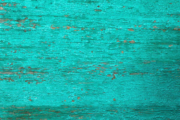 Texture of an old dry board with cracked faded green paint, background.