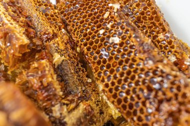 Bal kovanlı bal peteği tabakta yakın plan. Sonbaharda terapi diyeti. Sığ alan derinliğiyle odaklan.