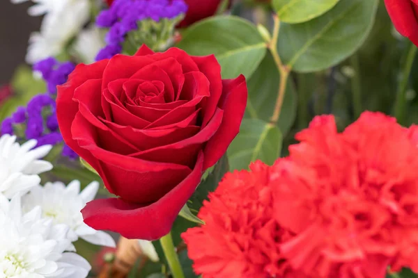 Rose Rouge Gros Plan Dans Bouquet Fleurs Différentes Pour Une — Photo
