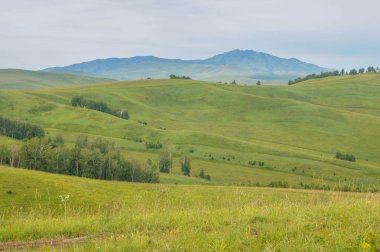 Tepeler ve altay yollar