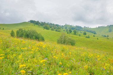 Tepeler ve altay yollar
