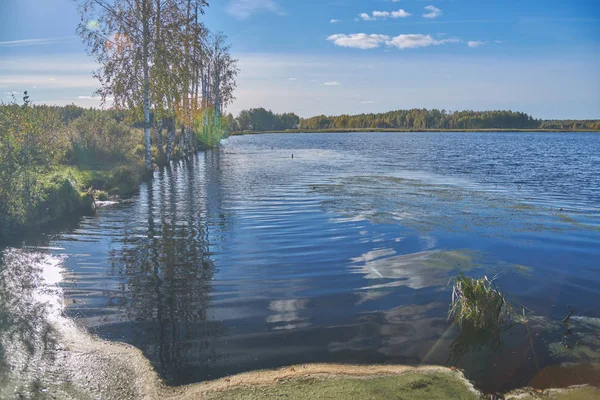 Igenvuxna Sjön Hösten — Stockfoto