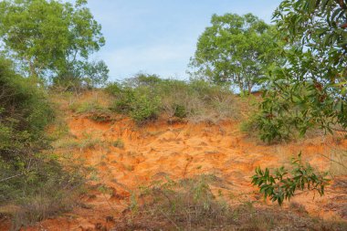 Kum tepeleri Vietnam