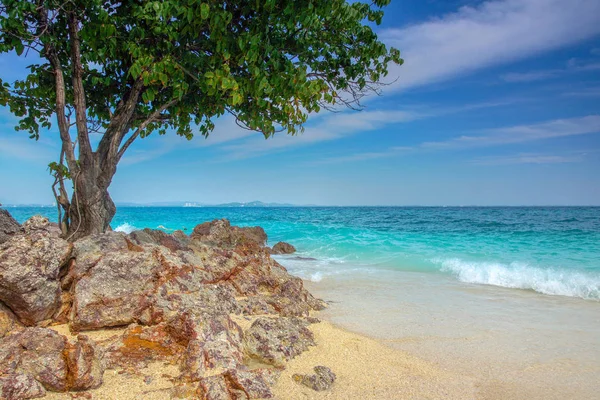 Tayland sahil tropikal bir adadan sadece