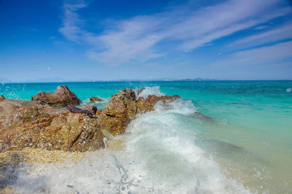 Tayland sahil tropikal bir adadan sadece