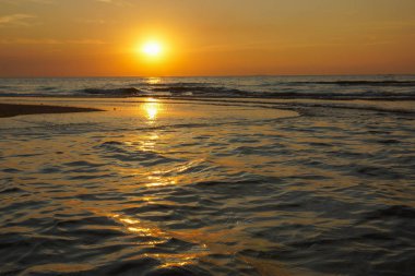 Vietnam sahil plaj: ağaçlar, dalgalar, kum