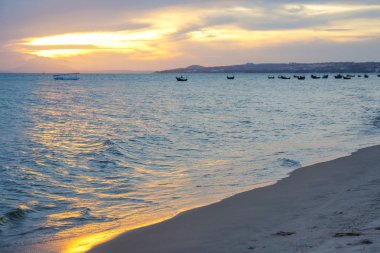 Vietnam sahil plaj: ağaçlar, dalgalar, kum