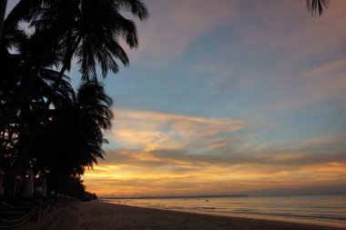 Vietnam sahil plaj: ağaçlar, dalgalar, kum