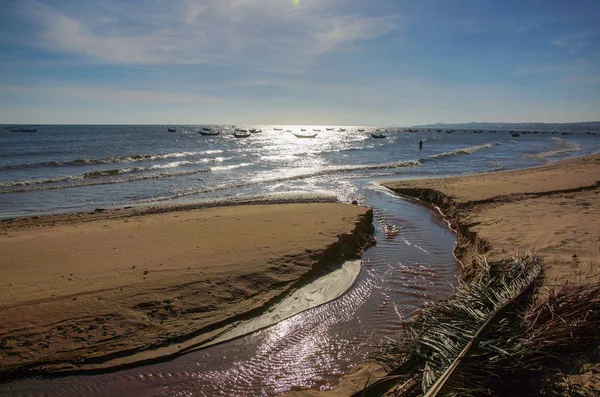 Stranden Vietnams Kust Träd Vågor Sand — Stockfoto