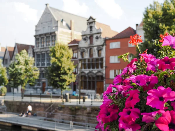 Die Alte Fishmongers Gildhall Zoutwerf Oder Salth Kai Mechelen Belgien — Stockfoto