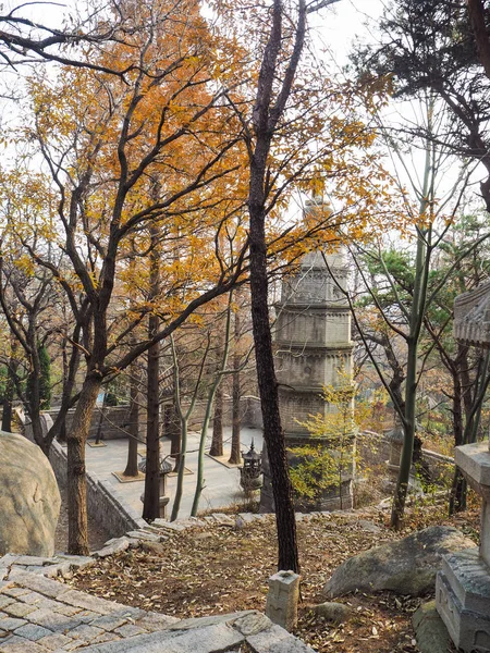 Qingdao China Dezembro 2017 Pátio Com Grande Stupa Construído Necxt — Fotografia de Stock