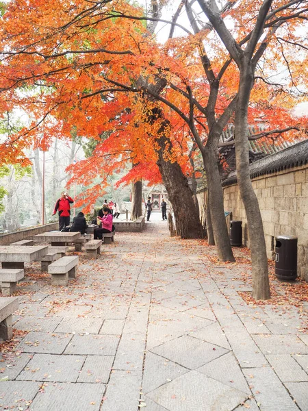 Touristen Besuchen Herbst Den Taiqing Gong Oder Tempel Höchster Reinheit — Stockfoto