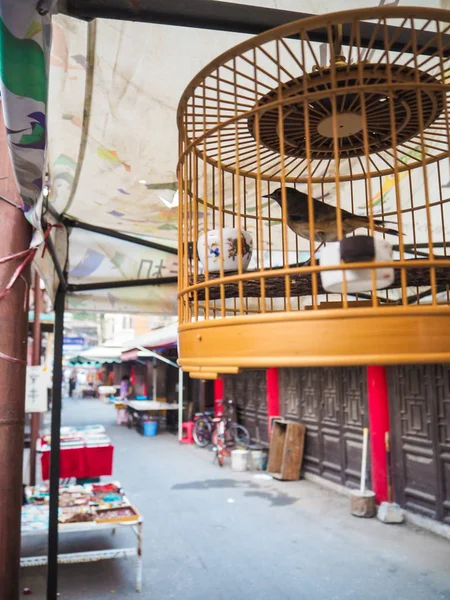 Pet Bird Hanging Street Old French Concession Tianjin China — Stock Photo, Image