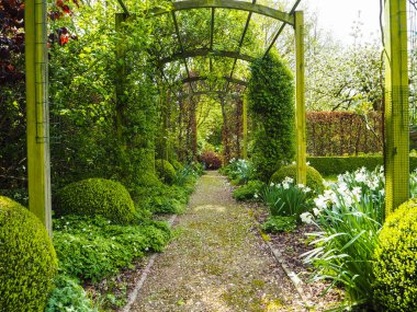 Beyaz nergis ve çiğdemler ve arkada, Belçika çiçek açması bir elma ağacı çevrili bahçe Bahar sırasında giriş pergola