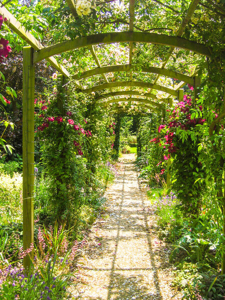 The pergola in summertime providing a wonderful entrance to the garden