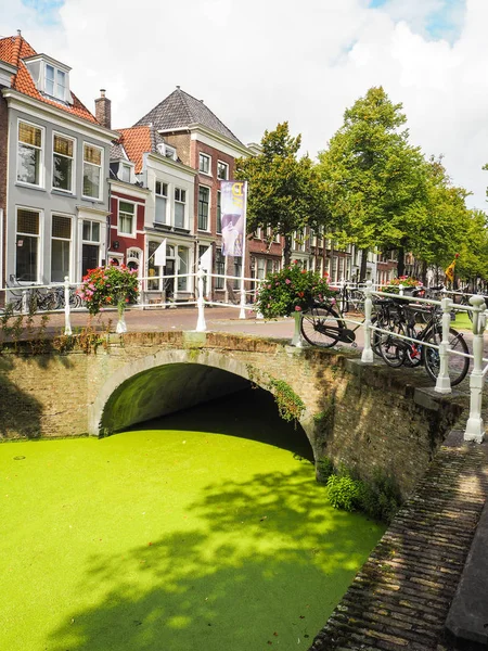 Centro Cidade Delft Durante Verão Com Canais Cobertos Pato Holanda — Fotografia de Stock