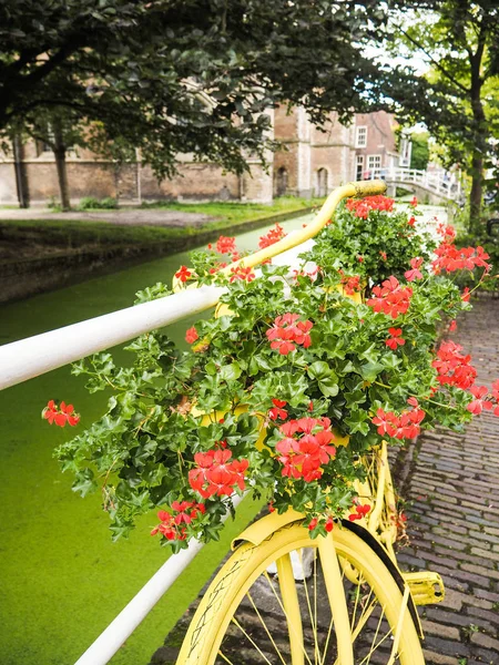 Bicicleta Amarela Velha Cheia Flores Usada Para Jardinagem Urbana Delft — Fotografia de Stock