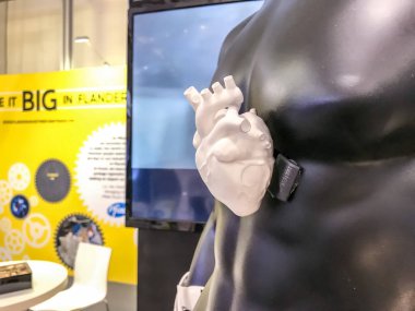 Hannover, Germany - April 2018: 3D printed anatomical heart using SLS technology in PA2200 by Tenco DDM at Hannover Messe clipart