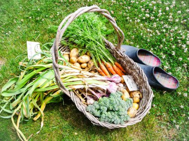 Hasır sepet homegrown yaz sebze ile dolu
