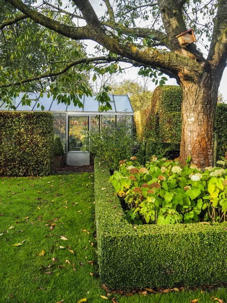 Küçük Gizli Sera Bahçe Sonbaharda Arkasında — Stok fotoğraf