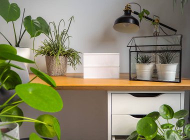 Çağdaş ve aydınlık çalışma ofisi bir kentsel ormanda duygu ile