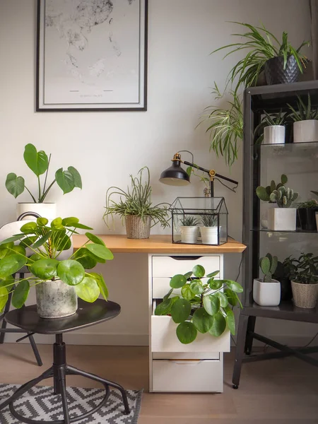 Salle d'étude industrielle moderne en noir et blanc avec de nombreuses plantes vertes — Photo