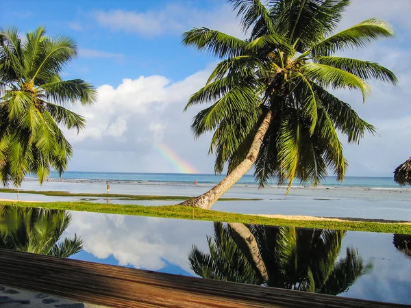 Reflet de palmiers et d'un arc-en-ciel dans une piscine à débordement après un temps orageux — Photo