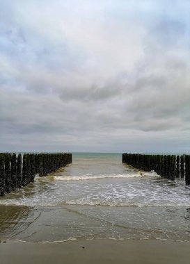Ekli cüppeler üzerinde ekili midye sıraları teşhir düşük gelgit 
