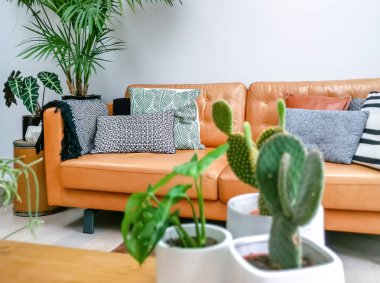 Kahverengi deri kanepe ve çok sayıda yeşil houseplants bir kentsel orman oluşturma ile Hafif modern oturma odası