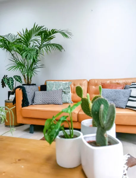 Kahverengi deri kanepe ve çok sayıda yeşil houseplants bir kentsel orman oluşturma ile Hafif modern oturma odası — Stok fotoğraf