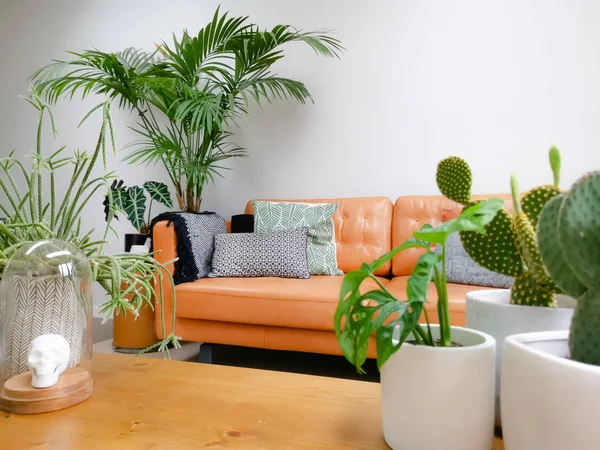 Salon moderne lumineux avec canapé en cuir marron et de nombreuses plantes d'intérieur vertes créant une jungle urbaine — Photo