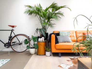 Kahverengi deri kanepe ve kentsel bir orman yaratan çok sayıda houseplants ile Hafif modern oturma odası
