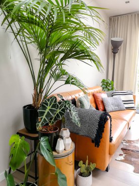Kahverengi deri kanepe ve çok sayıda yeşil houseplants bir kentsel orman oluşturma ile Hafif modern oturma odası